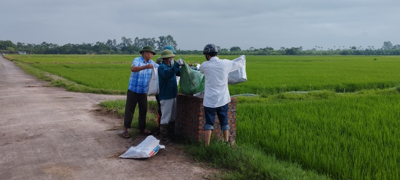 Hội CCB xã thuần Hưng tổ chức thu gom rác thải ngoài đồng ruộng